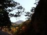 설악 (흘림골)