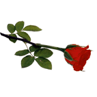 03252C4F508558AB2F2FD8