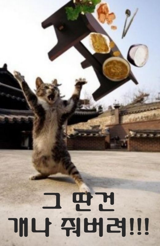 [19금 겁나 혐오] 성진국의 코스프레 