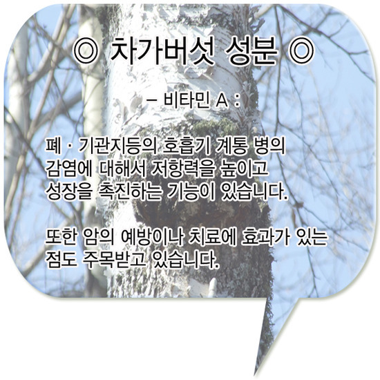 약산가스 이미지