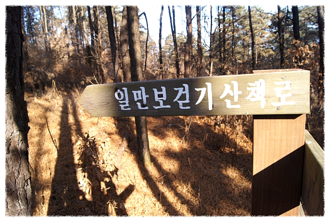 가람인삼 이미지
