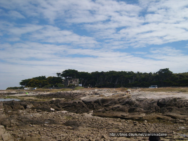 프랑스 부르타뉴 지방의 야생 해변에서