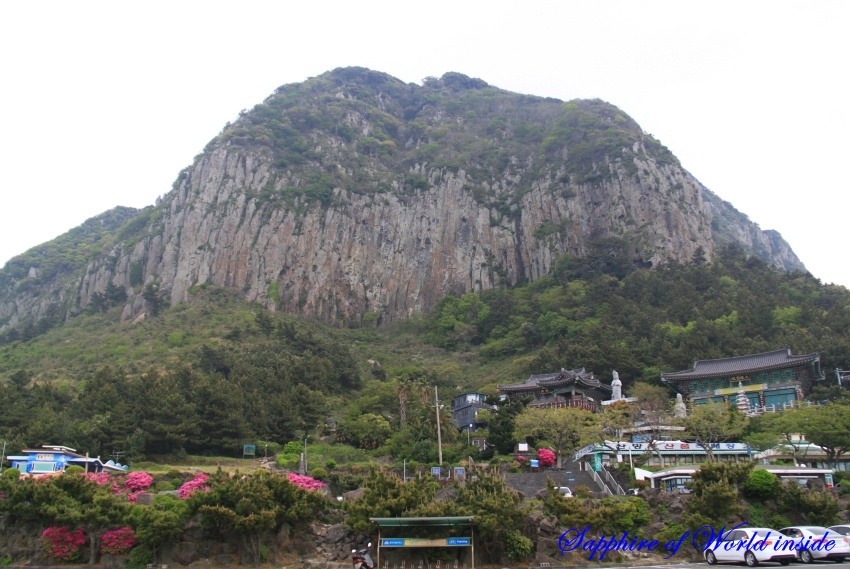 (주)즐거운 제주여행 이미지