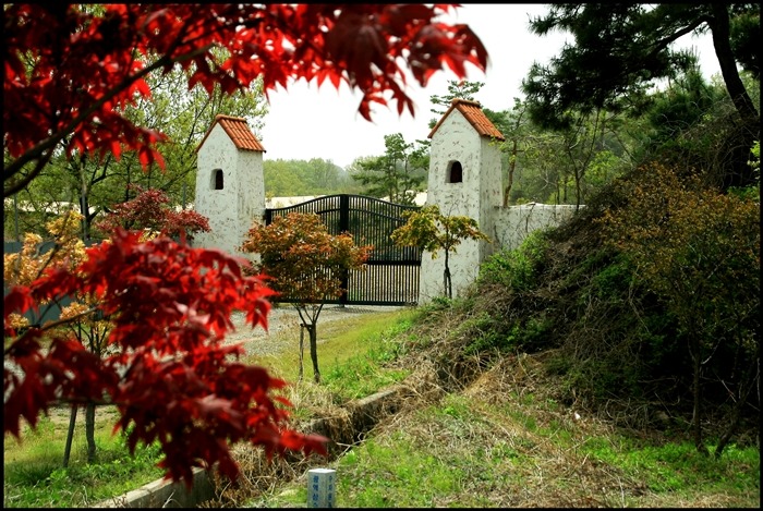 하나화원 이미지