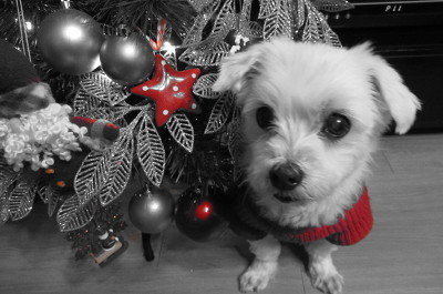 We Wish You A Merry Christmas - Kenny G