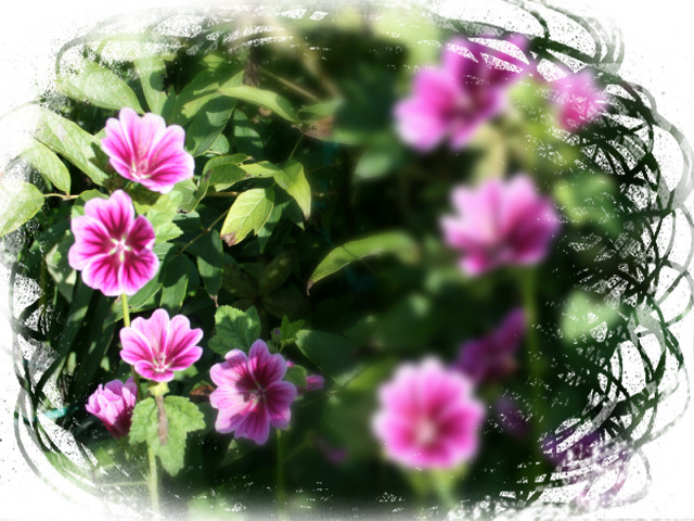 117F311F4A7E9A2DEB8024