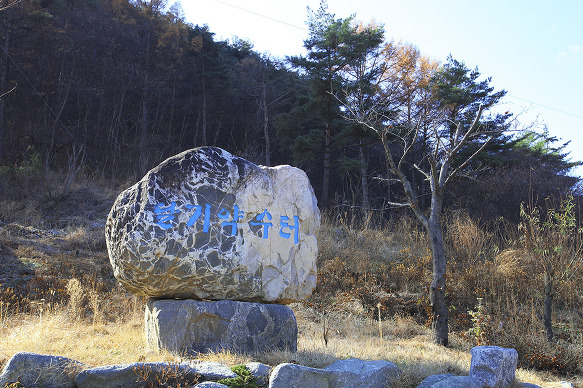 토속먹거리 이미지