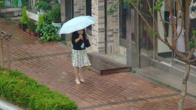 보슬비 이미지