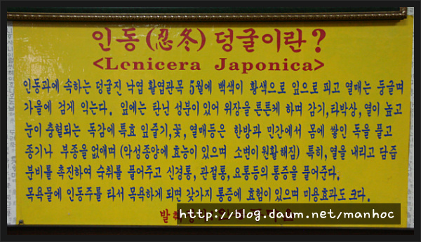 남도 홍탁 이미지