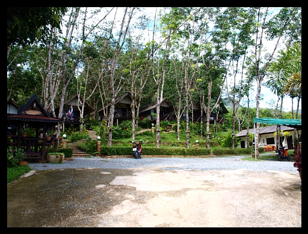 13652A4E4E0ECD4D0D2FCB