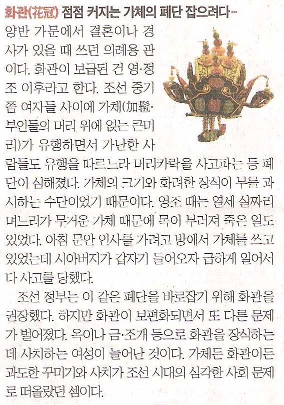 모자나라 이미지