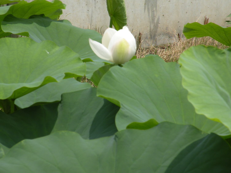 합천군산림조합 이미지