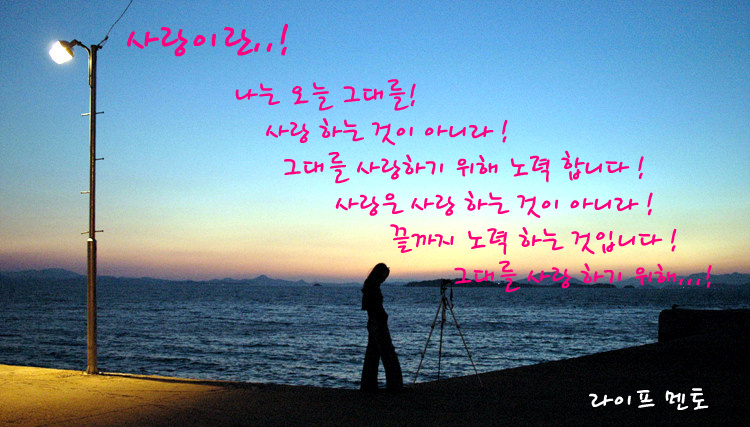 씨앗사랑 이미지