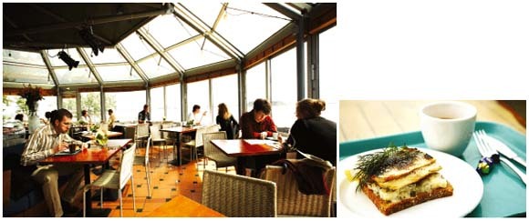 [트래비*핀란드] 영화 따라 돌아본 헬싱키 여행기-<카모메 식당>을 찾아서