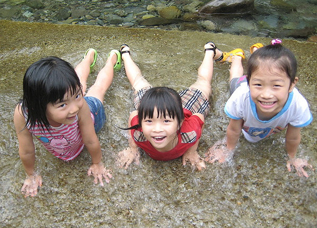 숲속유치원 이미지