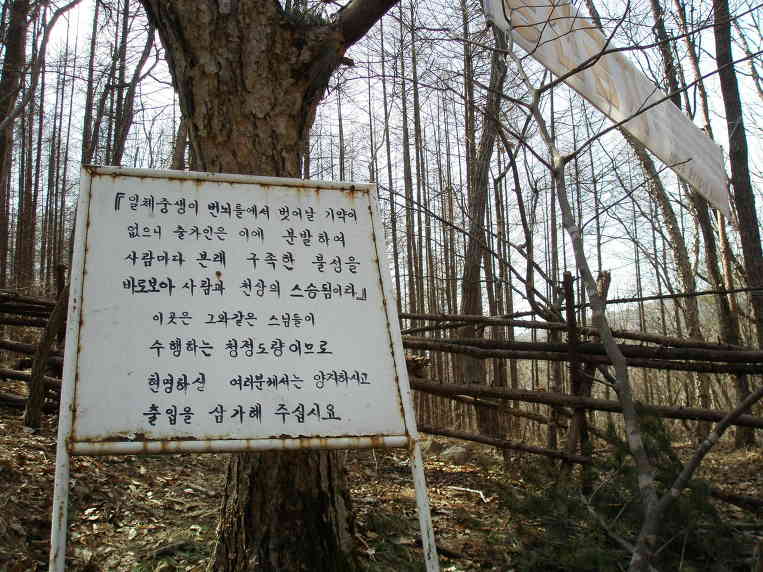 꽃피는사계 이미지