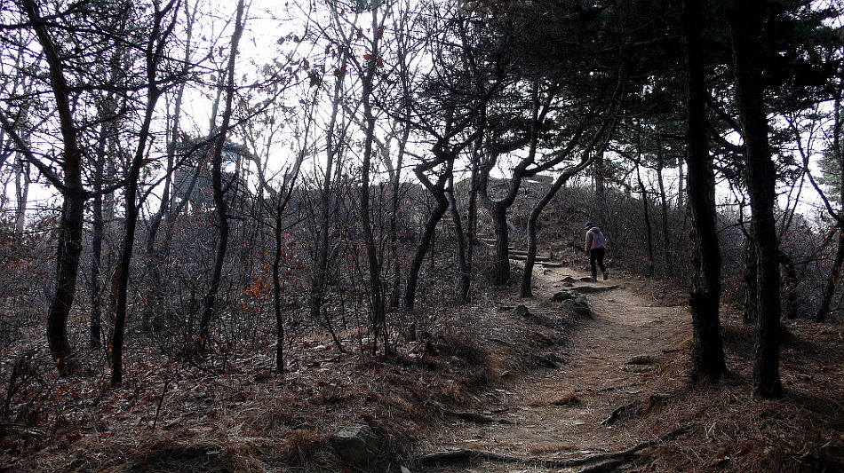 우리 아파트 앞에 남양주 황금산(128.6M) 