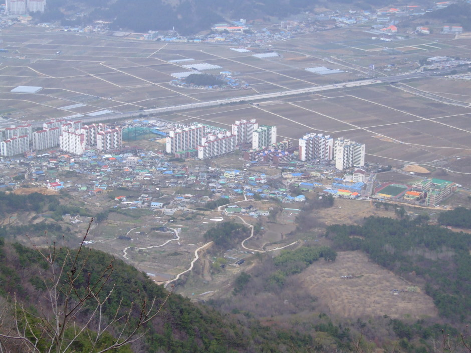 래핀 이미지