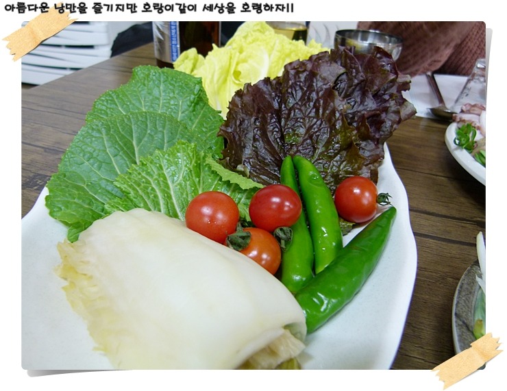 해운대박선장 이미지