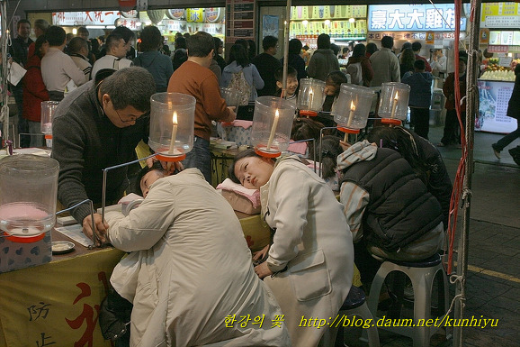진기한 풍경(대만)-한강의 꽃
