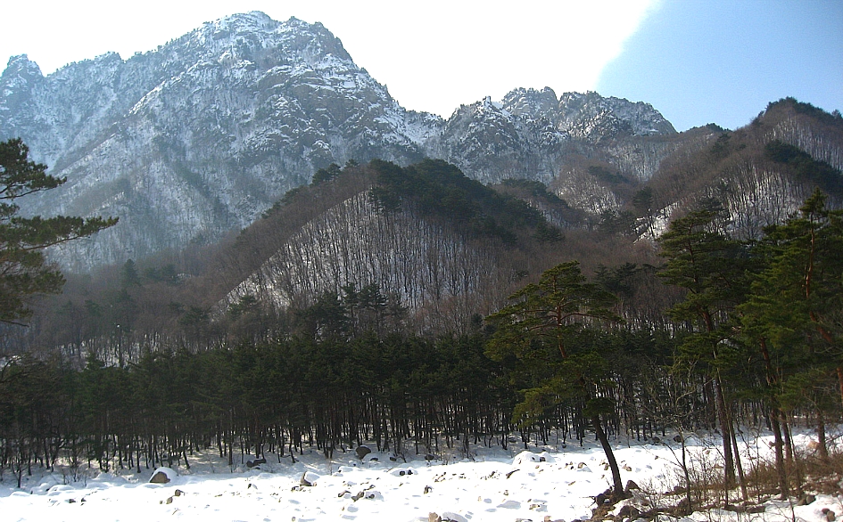 신흥사 이미지