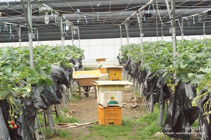 157BE2524DA873FD199B3B