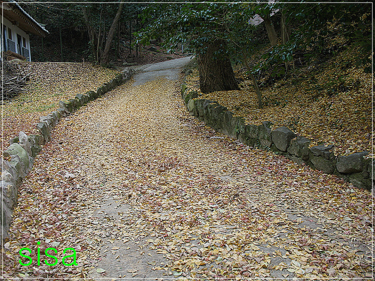 아름다운 반영...2009. 12. 8일