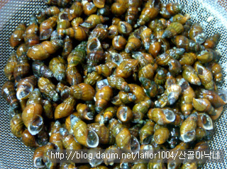 간이 벌떡 일어나는 구수한 다슬기시금치된장국!!~