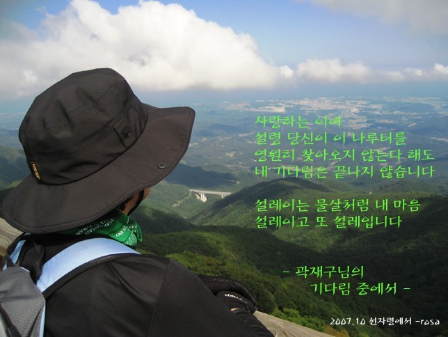 로사누님 선물
