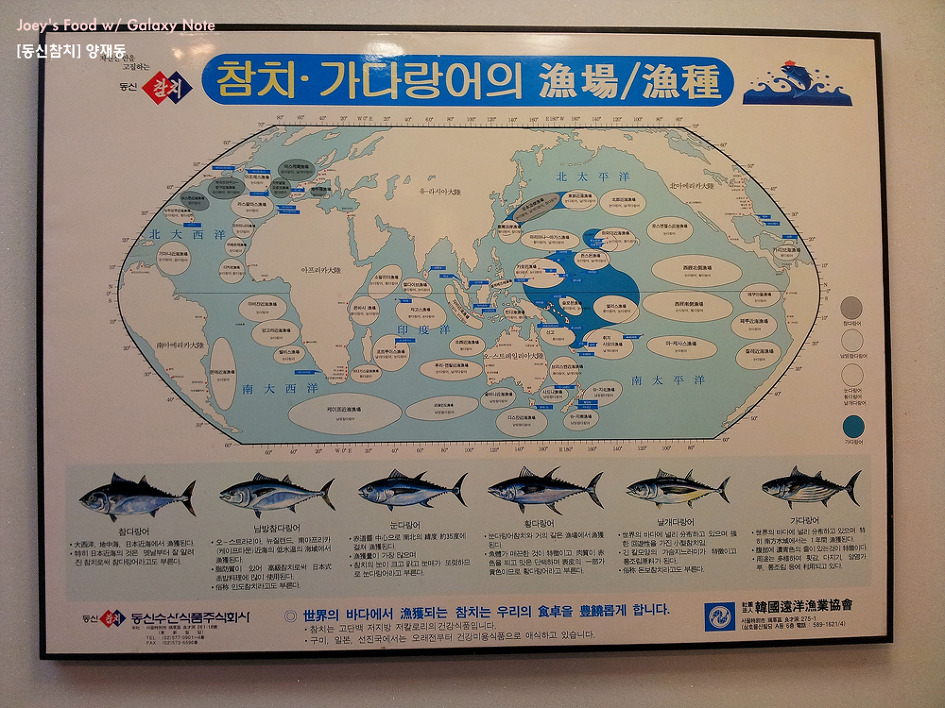 동신참치 이미지