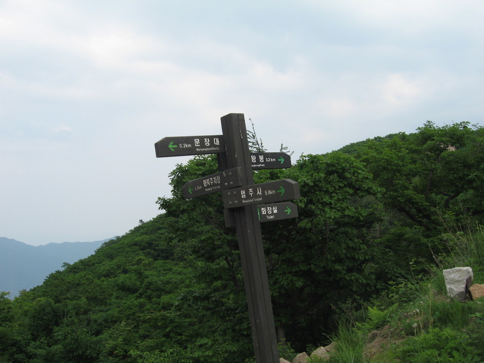 청년의전 이미지