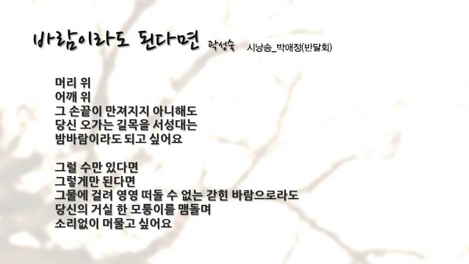 '차꽃, 바람에 머물다' 출판행사 PPT