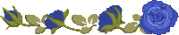 1670884A4D57C23F2C8789