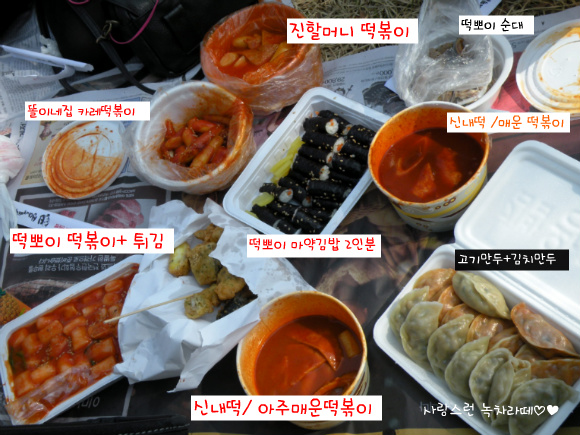 고고투어 이미지