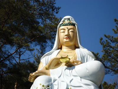 보리사랑 이미지