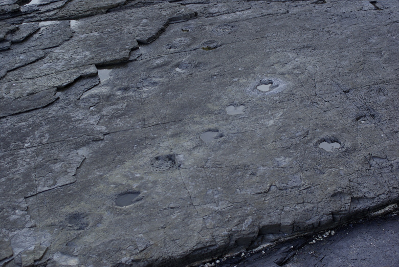 공룡이 노닐던 고성 상족암