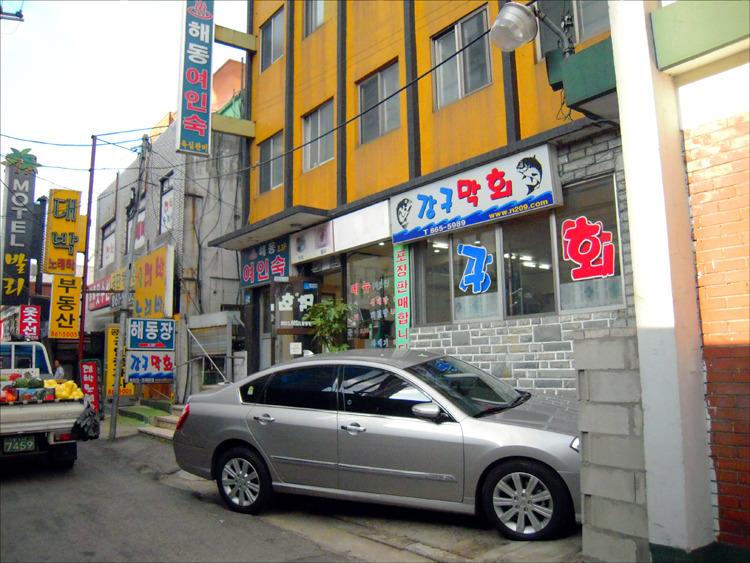 강구막회 이미지
