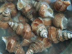 새콤, 달콤, 쫄깃한 맥주 안주~ 골뱅이 야채 무침