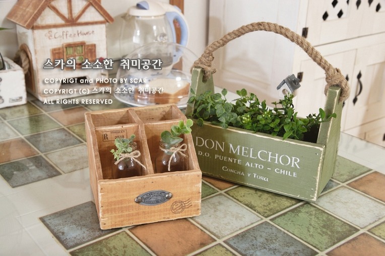 사과나무(주) 이미지