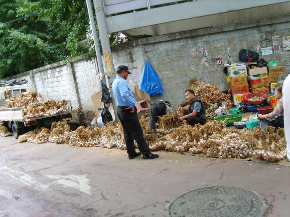 동동구르모 이미지