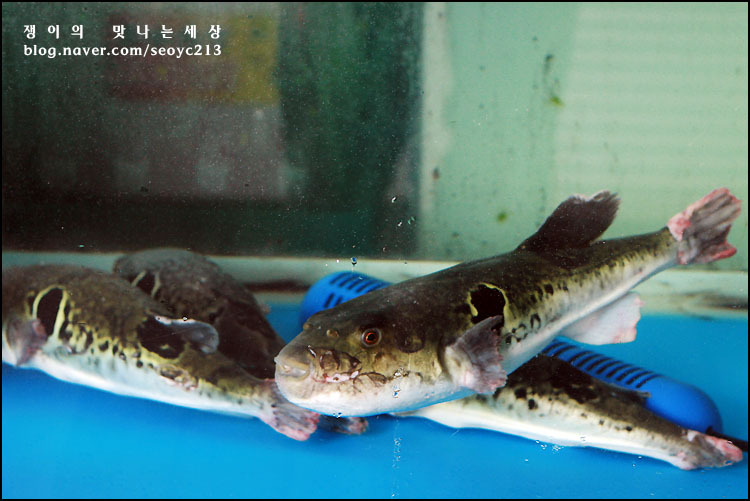 복이식당 이미지