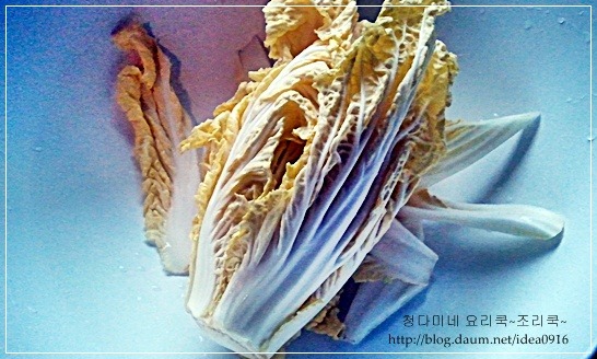 봄을 부르는 겉절이 두가지