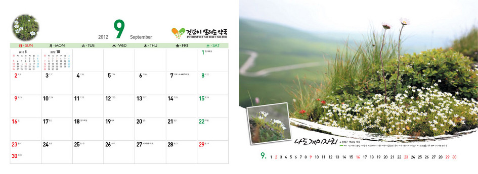 야생화달력탁상용2012년-백두산속야생화
