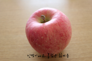 새콤 달콤한 사과가 매력 포인트~ "사과빵"