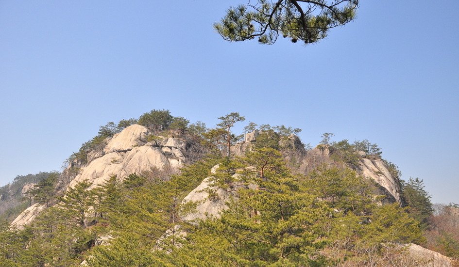 대동LPG충전소 이미지