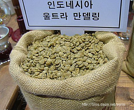 곰다방 이미지