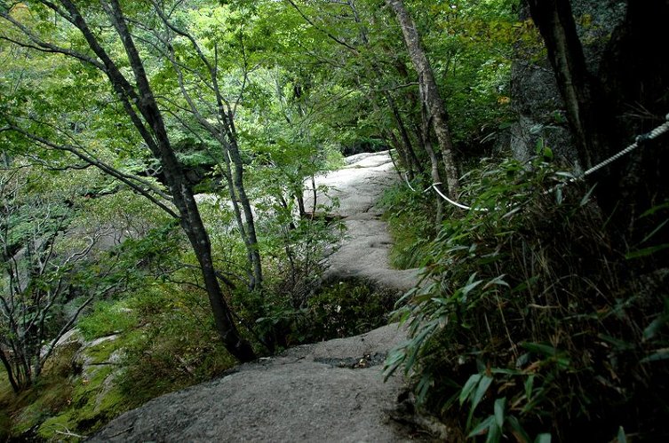 2009 천왕봉 산행(4) 제석봉을 지나며,,