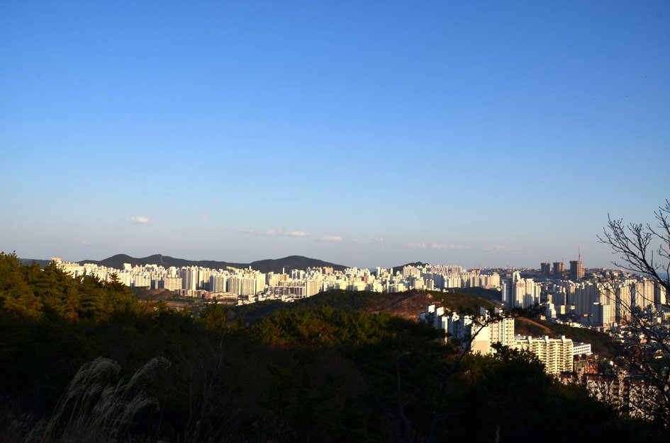<465차>갈맷길12- 장산 너덜길