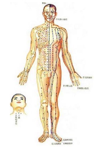  침구경혈자리