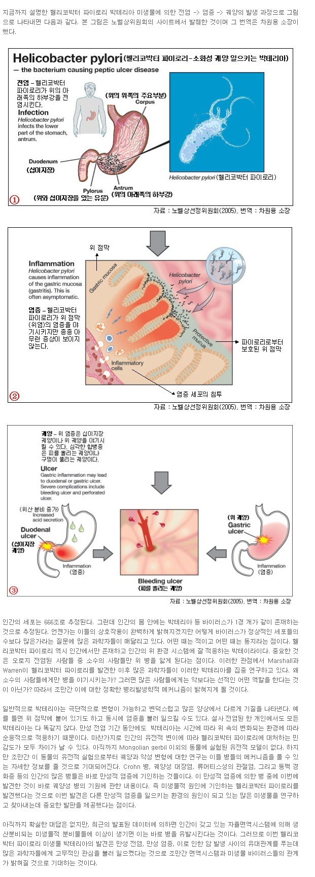 자율면역시스템